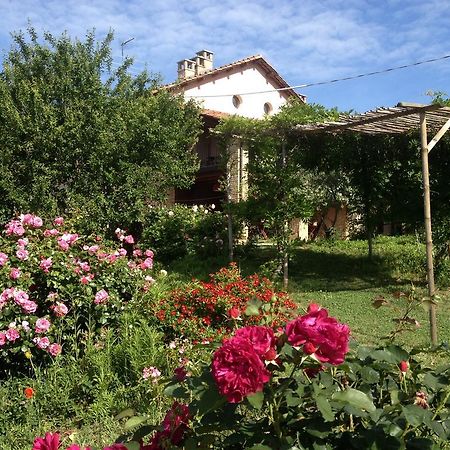 Casa Isabella Casa de hóspedes Vaglio Serra Exterior foto